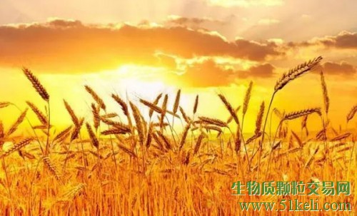 颗粒炉与颗粒锅炉的区别？